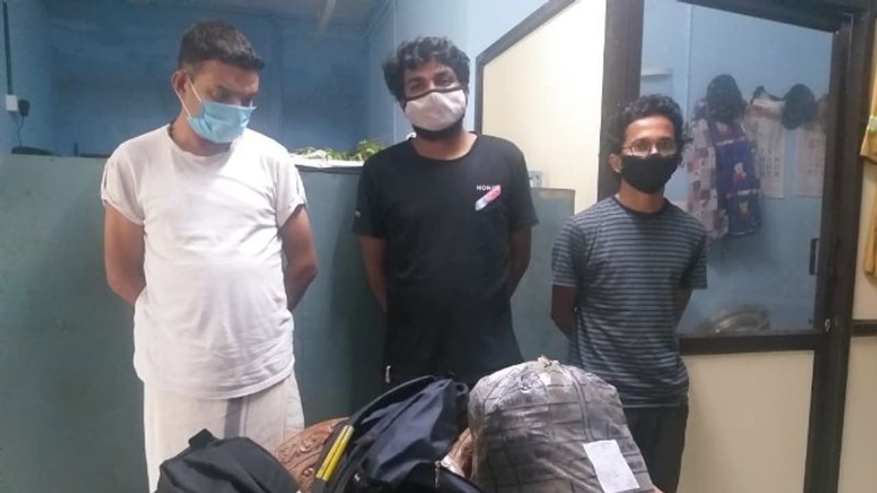 കോഴിക്കോട് ഒന്പത് കിലോഗ്രാം കഞ്ചാവുമായി മൂന്നു പേര് അറസ്റ്റില് കോഴിക്കോട് ഒന്പത് കിലോഗ്രാം കഞ്ചാവുമായി മൂന്നു പേര് അറസ്റ്റില്