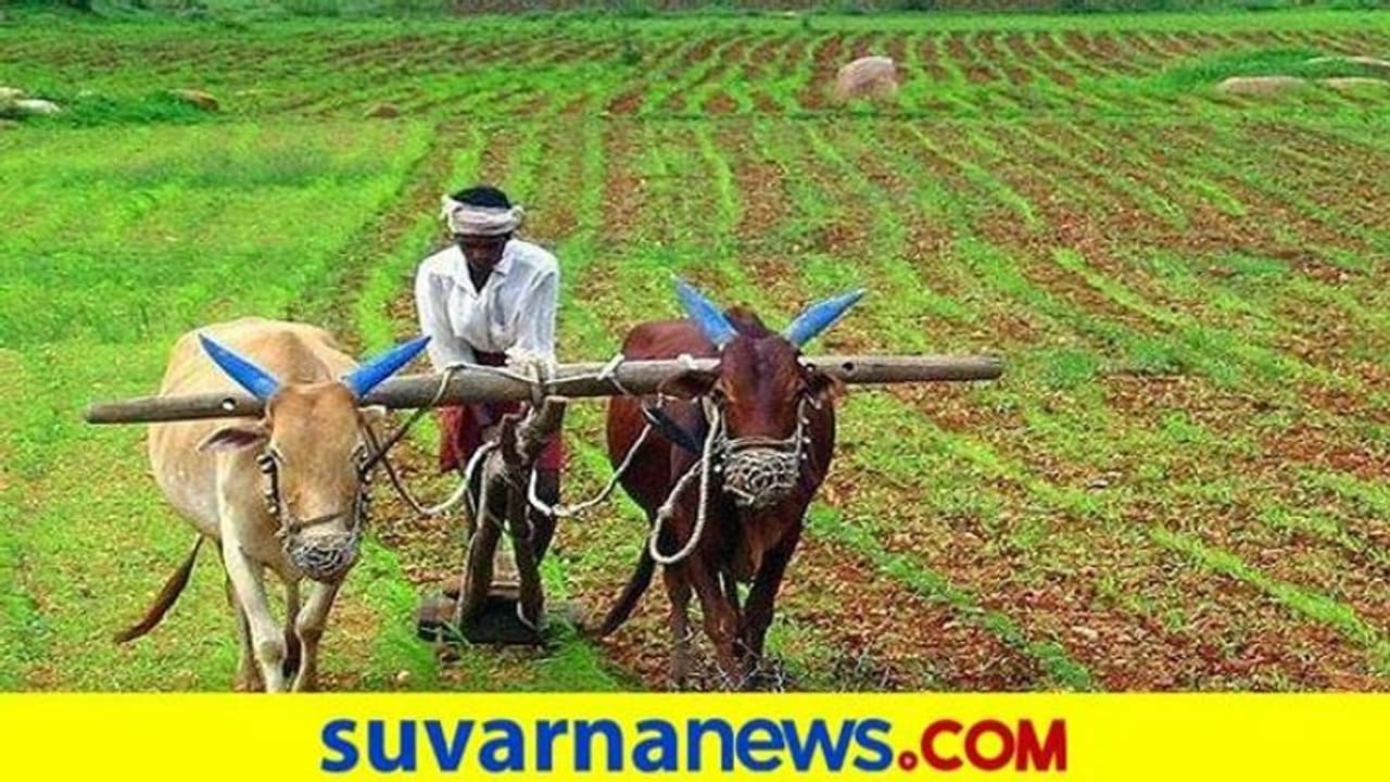 ನವಲಗುಂದ: ಹೆಸರು ಬೀಜಕ್ಕಾಗಿ ರೈತರ ಅಲೆದಾಟ ನವಲಗುಂದ: ಹೆಸರು ಬೀಜಕ್ಕಾಗಿ ರೈತರ ಅಲೆದಾಟ