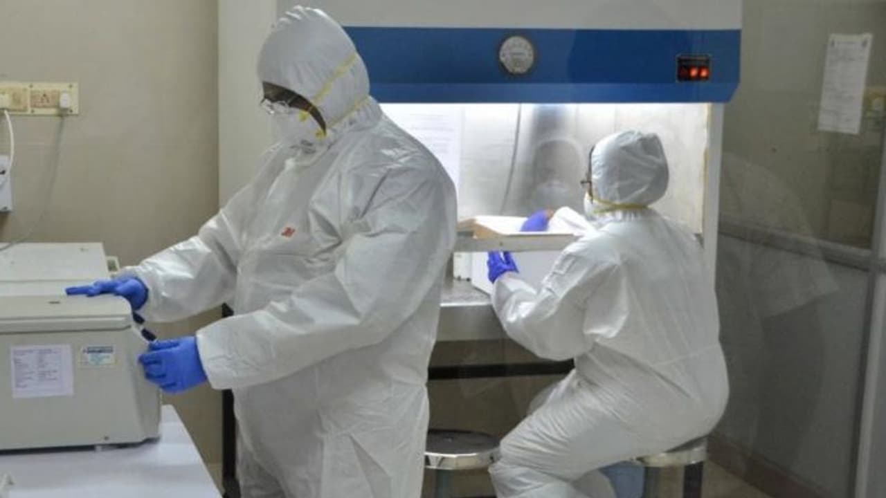 ಬೆಂಗಳೂರಲ್ಲಿ ನಡೆಯುತ್ತೆ ನಿತ್ಯ 30,000 ಮಂದಿ ಕೊರೋನಾ ಪರೀಕ್ಷೆ ಬೆಂಗಳೂರಲ್ಲಿ ನಡೆಯುತ್ತೆ ನಿತ್ಯ 30,000 ಮಂದಿ ಕೊರೋನಾ ಪರೀಕ್ಷೆ