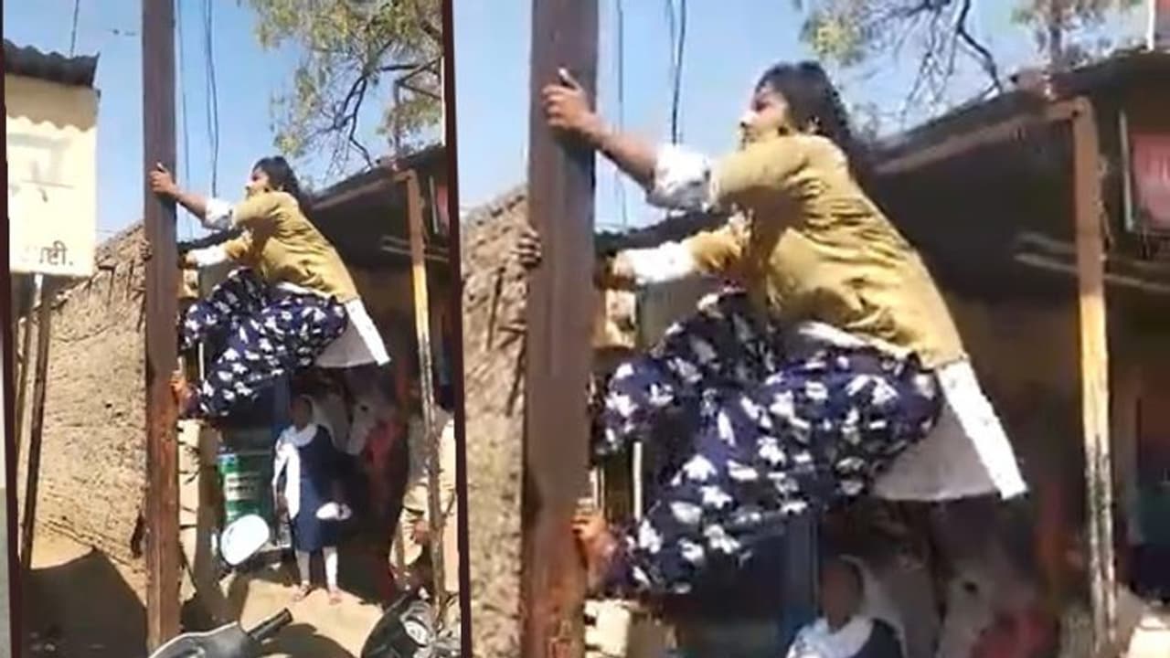 ইলেকট্রিক পোলে খালি পায়ে তড়তড়িয়ে উঠে গেলেন মহিলা, নিমেষে ভাইরাল হলেন দেশি 'স্পাইডার ওম্যান'