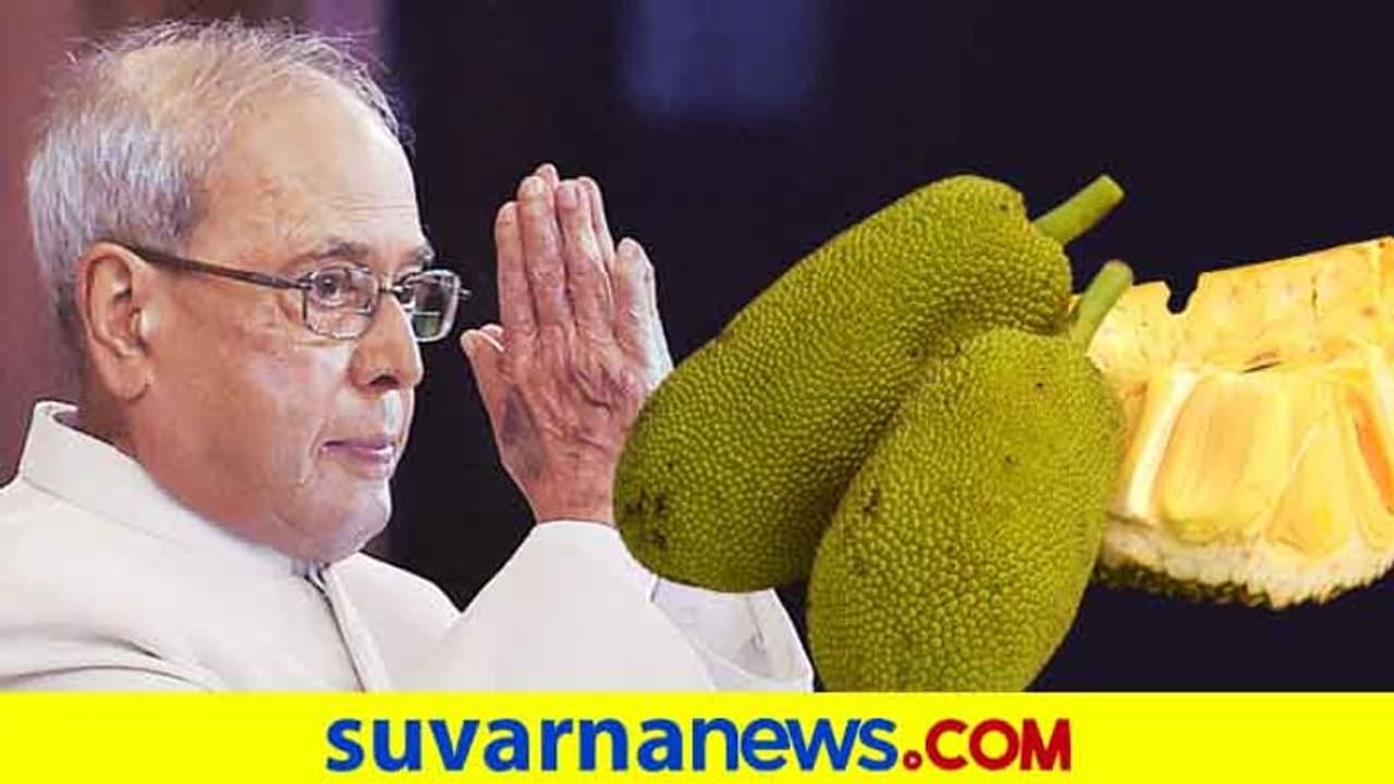 ಹಳ್ಳಿಯ ಹಲಸು ಕೇಳಿದ ಮಾಜಿ ರಾಷ್ಟ್ರಪತಿ ಪ್ರಣಬ್ ಮುಖರ್ಜಿ..! ಹಳ್ಳಿಯ ಹಲಸು ಕೇಳಿದ ಮಾಜಿ ರಾಷ್ಟ್ರಪತಿ ಪ್ರಣಬ್ ಮುಖರ್ಜಿ..!