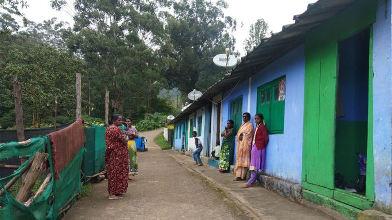 മൂന്നാറിലെ ലയങ്ങളില് തൊഴിലാളികള്ക്ക് നല്ലവായു ശ്വസിക്കാന് കഴിയുന്നില്ല; ഇടപെടലുമായി ആരോഗ്യസർവ്വകലാശാല മൂന്നാറിലെ ലയങ്ങളില് തൊഴിലാളികള്ക്ക് നല്ലവായു ശ്വസിക്കാന് കഴിയുന്നില്ല; ഇടപെടലുമായി ആരോഗ്യസർവ്വകലാശാല