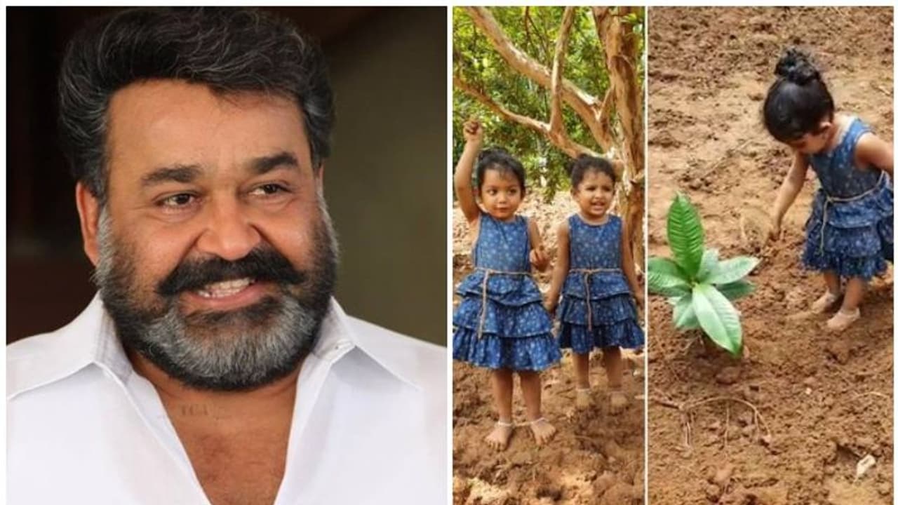 'മണ്ണറിഞ്ഞും മഴ നനഞ്ഞും വളരുന്ന രണ്ട് കുഞ്ഞിളം കിളികള്..', സാന്ദ്രയുടെ മക്കളെക്കുറിച്ച് മോഹന്ലാല് 'മണ്ണറിഞ്ഞും മഴ നനഞ്ഞും വളരുന്ന രണ്ട് കുഞ്ഞിളം കിളികള്..', സാന്ദ്രയുടെ മക്കളെക്കുറിച്ച് മോഹന്ലാല്