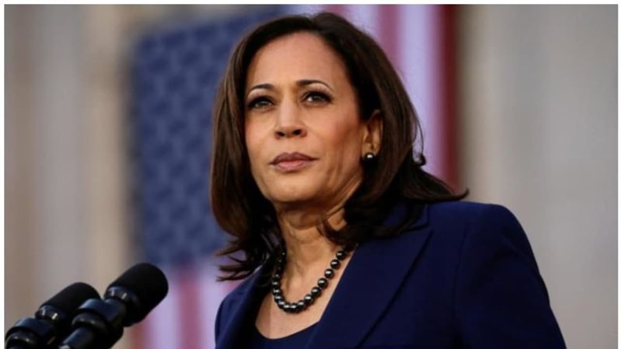 కనకదుర్గగా కమలా హారిస్ ఫోటో పోస్టు: మీనా హారిస్ క్షమాపణలకు డిమాండ్