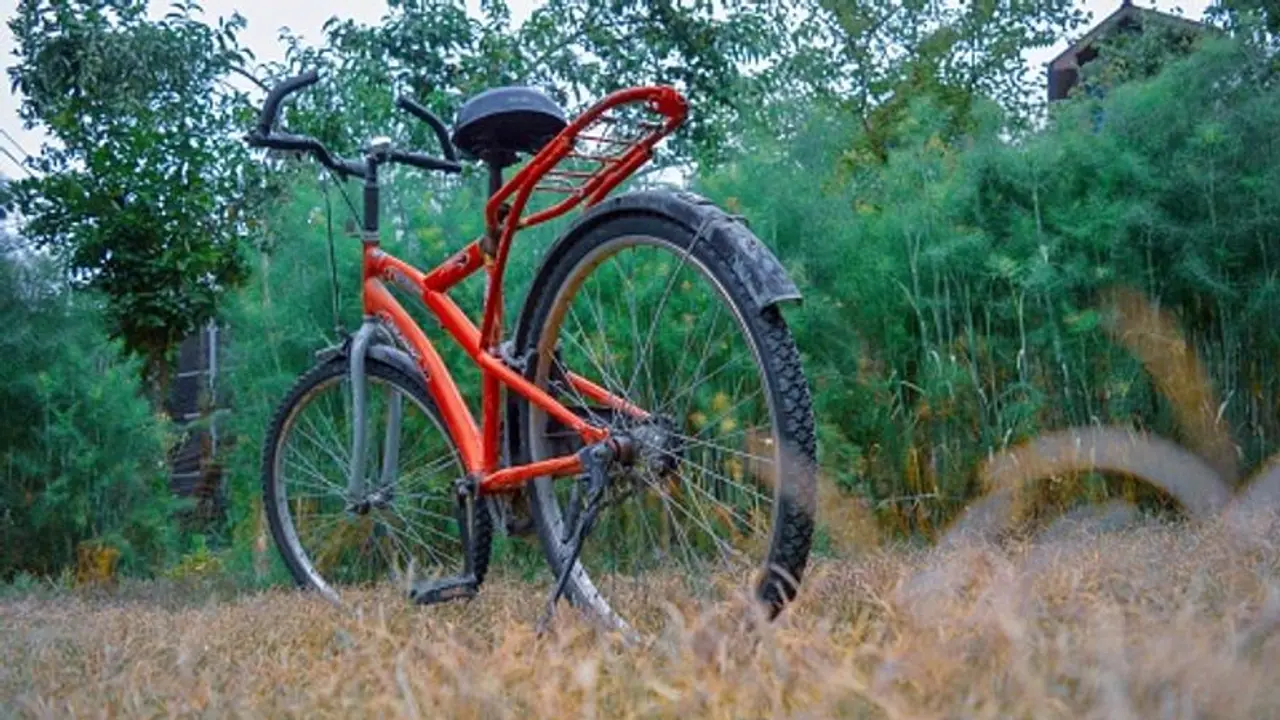 This electric cycle made of bamboo costs $4,140; Details inside