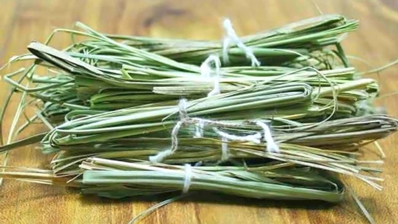 कुशग्रहणी अमावस्या 18 अगस्त को, धार्मिक कामों में क्यों किया जाता है कुशा घास का उपयोग? कुशग्रहणी अमावस्या 18 अगस्त को, धार्मिक कामों में क्यों किया जाता है कुशा घास का उपयोग?