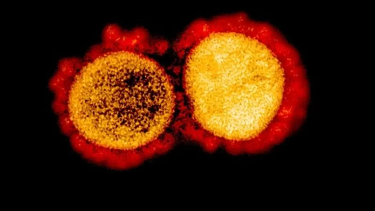 പത്ത് മടങ്ങ് ശക്തി കൂടുതലുള്ള പുതിയ കൊറോണ വൈറസ് മലേഷ്യയില്‍...