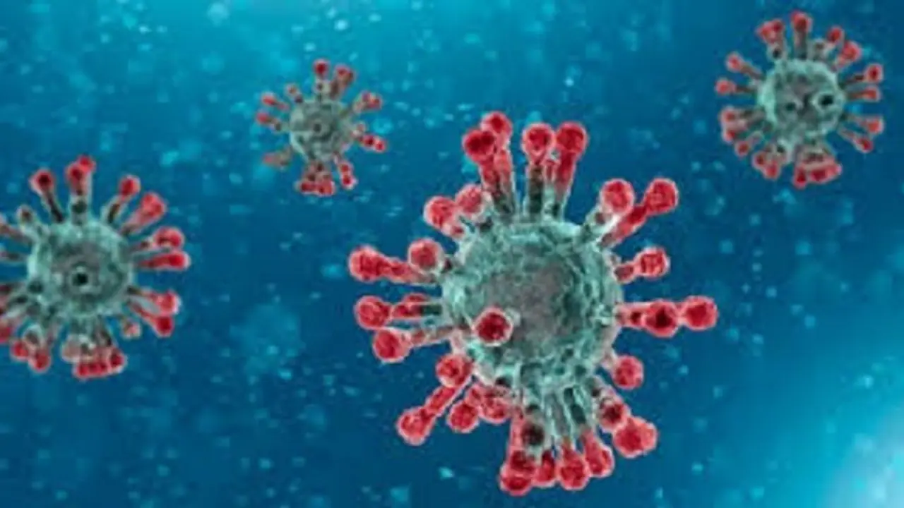 Coronavirus: India reports 55,079 new cases in 24 hours Coronavirus: India reports 55,079 new cases in 24 hours