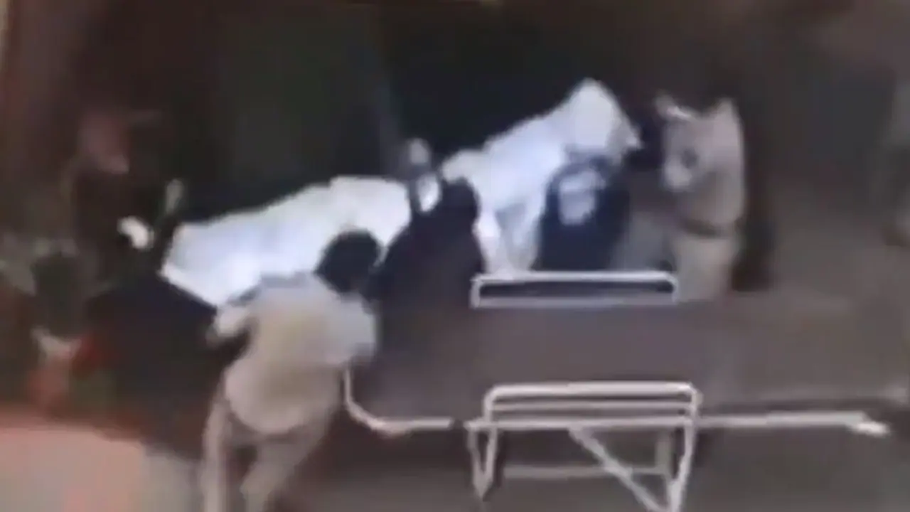 కోర్టులో వాంగ్మూలం ఇచ్చినరోజే... తల్లీ కూతుళ్ల దారుణ హత్య కోర్టులో వాంగ్మూలం ఇచ్చినరోజే... తల్లీ కూతుళ్ల దారుణ హత్య