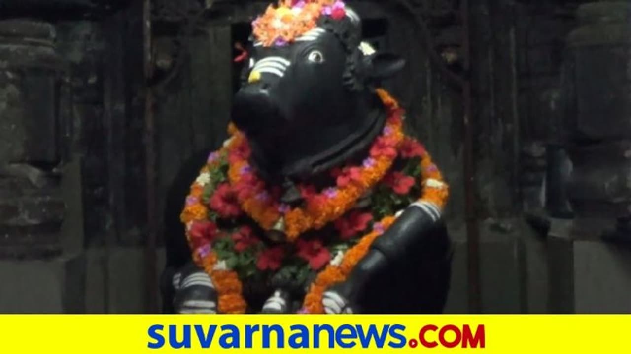 ಕೊರೋನಾ ರೂಲ್ಸ್‌ ಕೇಳೋರಿಲ್ಲ.. ಮದ್ದು ಗುಂಡಿನ ಹಾವಳಿ ಎಂದ ಕಾರಣಿಕ!