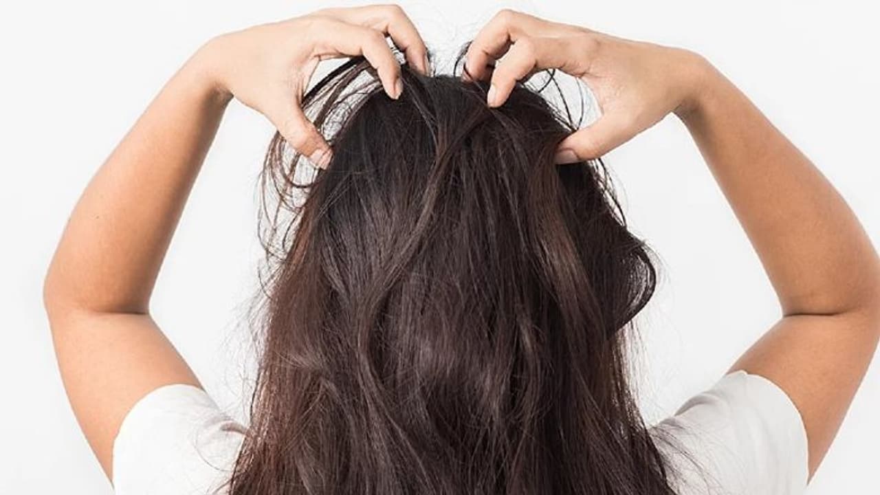 Hair Growth : നല്ല ആരോഗ്യമുള്ള മുടി വളരാന്‍ കഴിക്കാം ഈ ഭക്ഷണങ്ങള്‍...