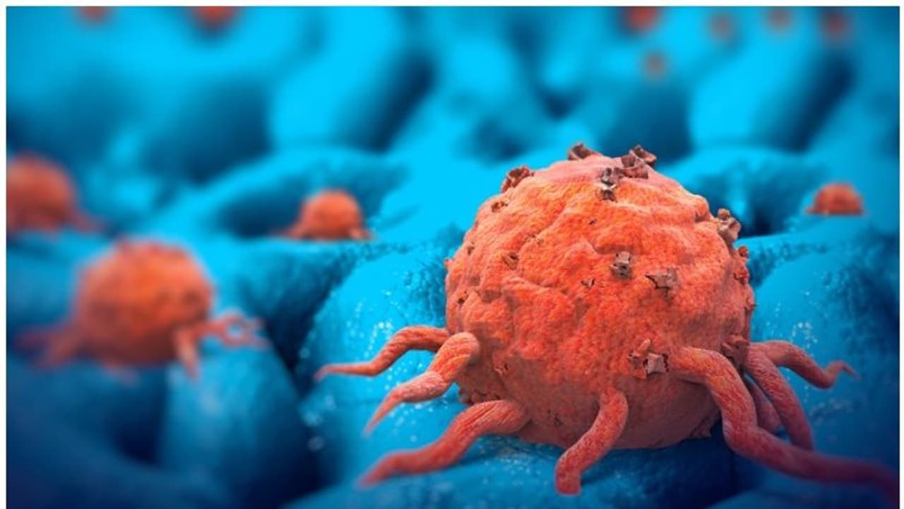 ഇന്ത്യയിൽ അടുത്ത അഞ്ച് വര്ഷത്തിനുള്ളില് കാന്സര് രോഗികളുടെ എണ്ണം 12 ശതമാനം വര്ദ്ധിക്കുമെന്ന് ഐസിഎംആര് ഇന്ത്യയിൽ അടുത്ത അഞ്ച് വര്ഷത്തിനുള്ളില് കാന്സര് രോഗികളുടെ എണ്ണം 12 ശതമാനം വര്ദ്ധിക്കുമെന്ന് ഐസിഎംആര്