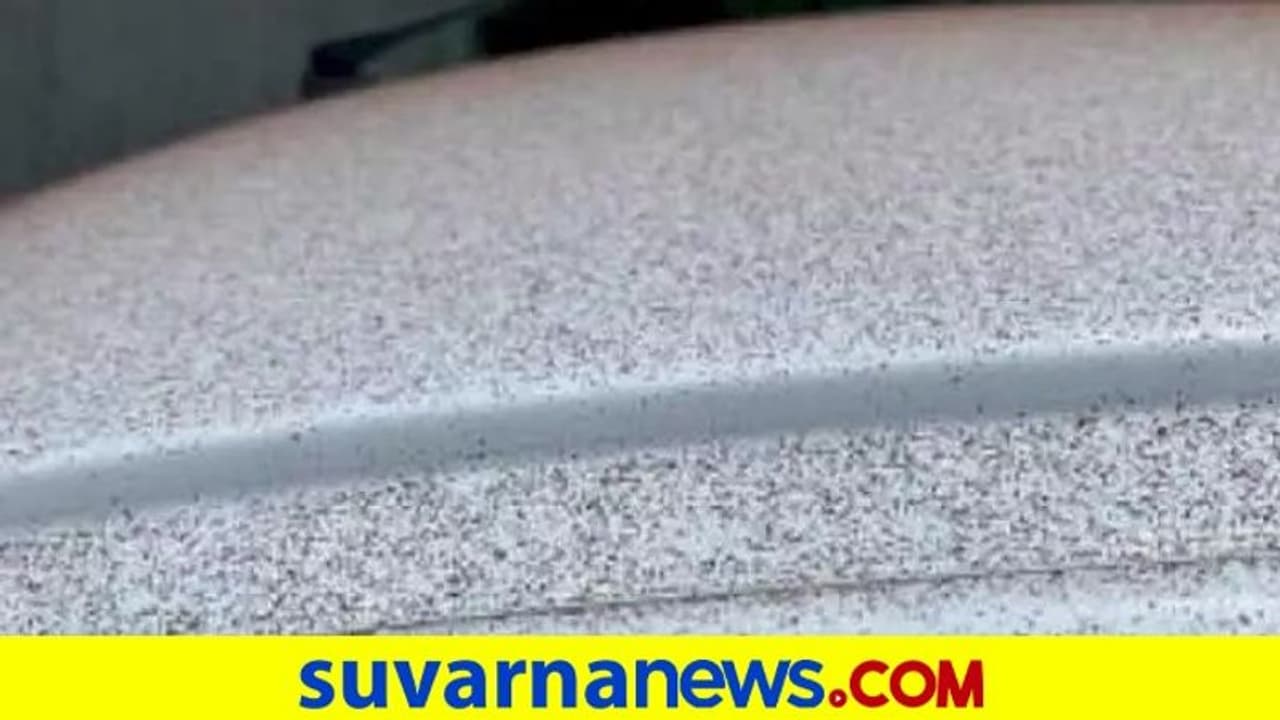 ಸ್ವಿಜರ್ಲೆಂಡಲ್ಲಿ ಹಿಮಪಾತದಂತೆ ಕೋಕೋ ಪೌಡರ್ನ ಸುರಿಮಳೆ! ಸ್ವಿಜರ್ಲೆಂಡಲ್ಲಿ ಹಿಮಪಾತದಂತೆ ಕೋಕೋ ಪೌಡರ್ನ ಸುರಿಮಳೆ!