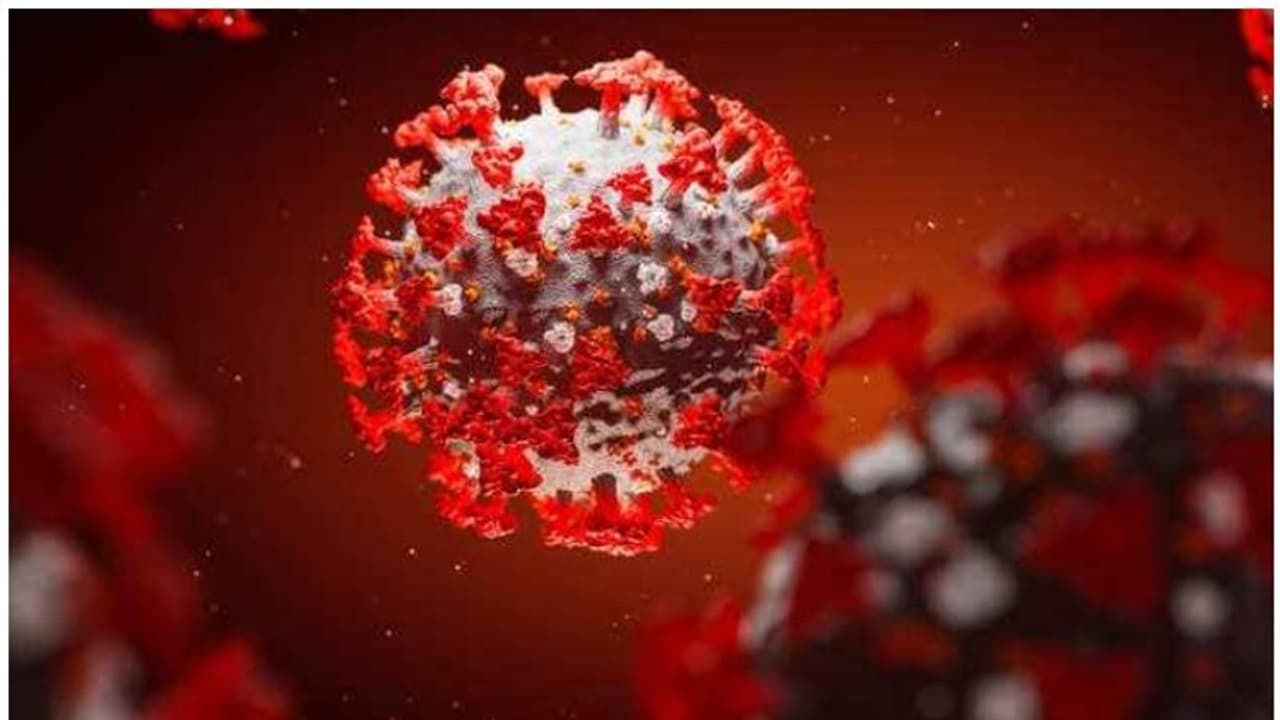 ഫോണിലൂടെ കൊവിഡ് ജാഗ്രത നിര്ദേശം; അവസാനിപ്പിക്കുന്നത് പരിശോധിക്കണമെന്ന് മനുഷ്യാവകാശ കമ്മീഷൻ ഫോണിലൂടെ കൊവിഡ് ജാഗ്രത നിര്ദേശം; അവസാനിപ്പിക്കുന്നത് പരിശോധിക്കണമെന്ന് മനുഷ്യാവകാശ കമ്മീഷൻ