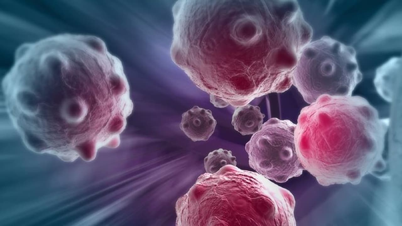 എന്തുകൊണ്ട് അടുത്ത 5 വര്ഷത്തിനുള്ളില് ഇന്ത്യയില് കൂടുതല് ക്യാന്സര് രോഗികള്? എന്തുകൊണ്ട് അടുത്ത 5 വര്ഷത്തിനുള്ളില് ഇന്ത്യയില് കൂടുതല് ക്യാന്സര് രോഗികള്?