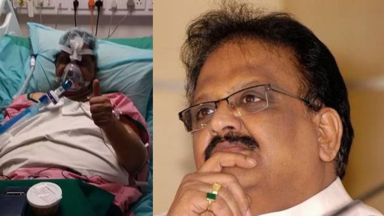 எஸ்.பி.பாலசுப்ரமணியத்திற்கு நுரையீரல் மாற்று அறுவை சிகிச்சை... சிறப்பு மருத்துவர்கள் குழு திட்டம்...!