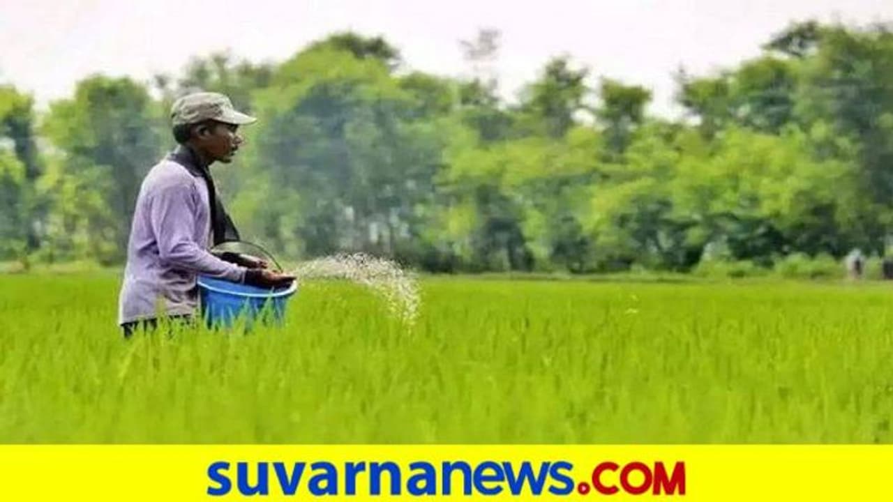 ಬೆಳೆ ವಿಮೆ ನಷ್ಟಪರಿಹಾರ ರೈತರ ಖಾತೆಗೆ ಜಮಾ ಬೆಳೆ ವಿಮೆ ನಷ್ಟಪರಿಹಾರ ರೈತರ ಖಾತೆಗೆ ಜಮಾ