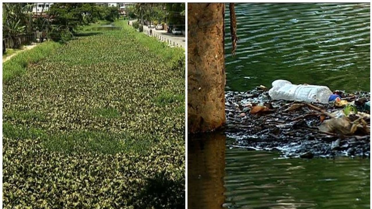 പാർവതി പുത്തനാർ നവീകരണം മുടങ്ങി; ചെറുമഴയ്ക്ക് പോലും തലസ്ഥാനത്തെ പലയിടങ്ങളും വെള്ളം പൊങ്ങും പാർവതി പുത്തനാർ നവീകരണം മുടങ്ങി; ചെറുമഴയ്ക്ക് പോലും തലസ്ഥാനത്തെ പലയിടങ്ങളും വെള്ളം പൊങ്ങും