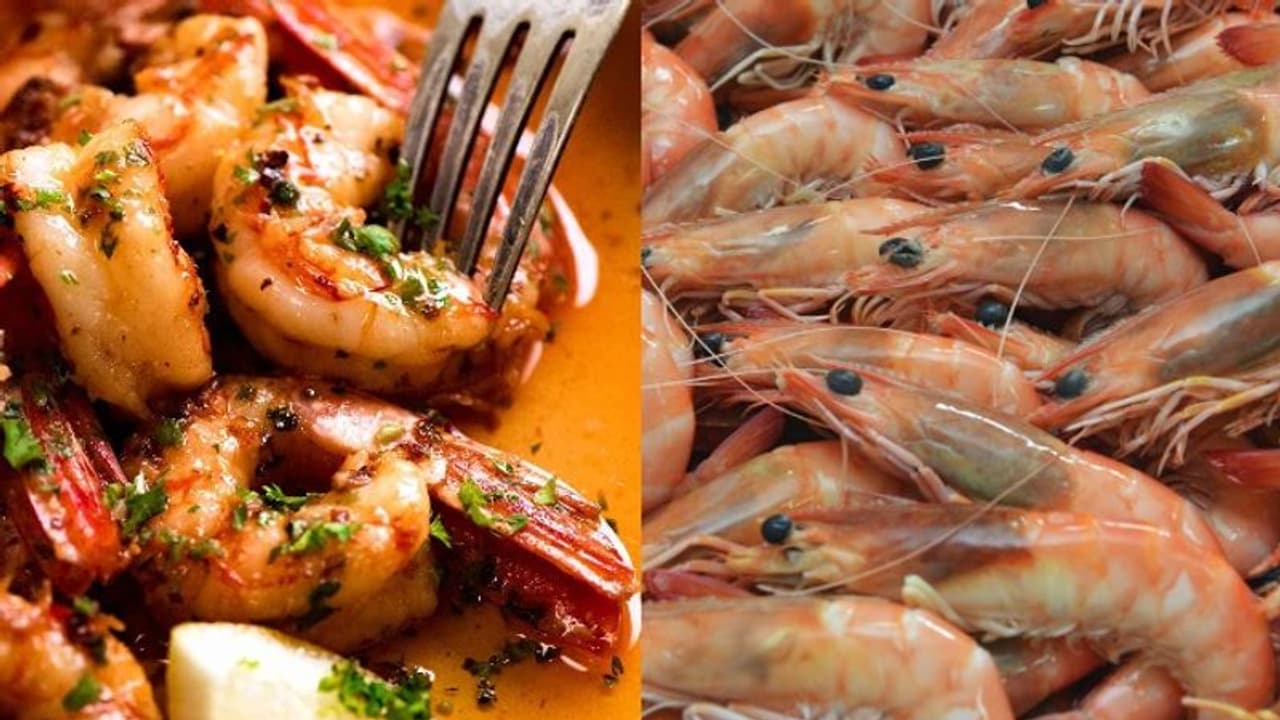 Special Recipe চিকেন নয়, এবার চিংড়ি দো পিঁয়াজাতেই ভরে উঠবে মন