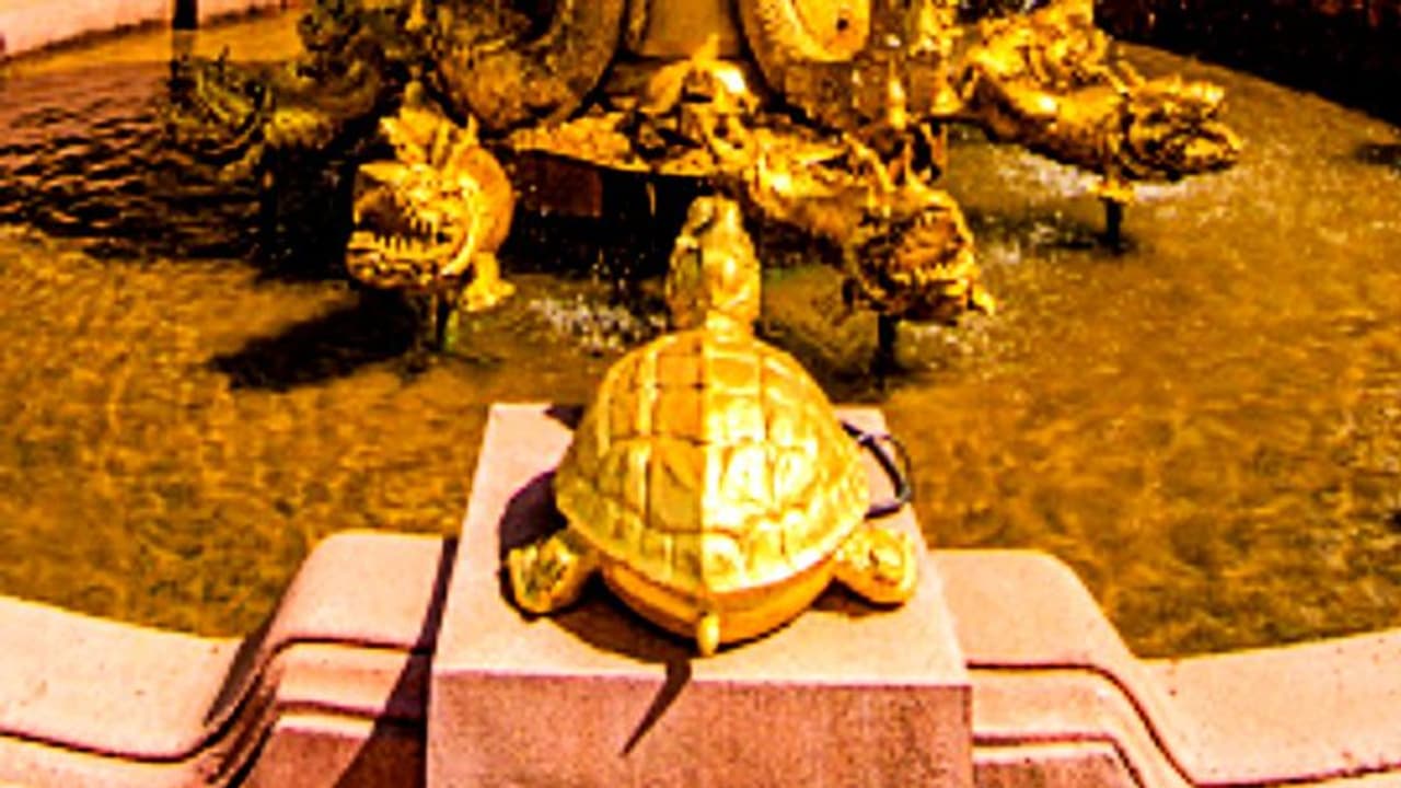 খোলস থেকে দেহ পুরোটাই যেন সোনার, নেপালে কি পুনর্জন্ম হল বিষ্ণুর কুর্ম অবতার এর