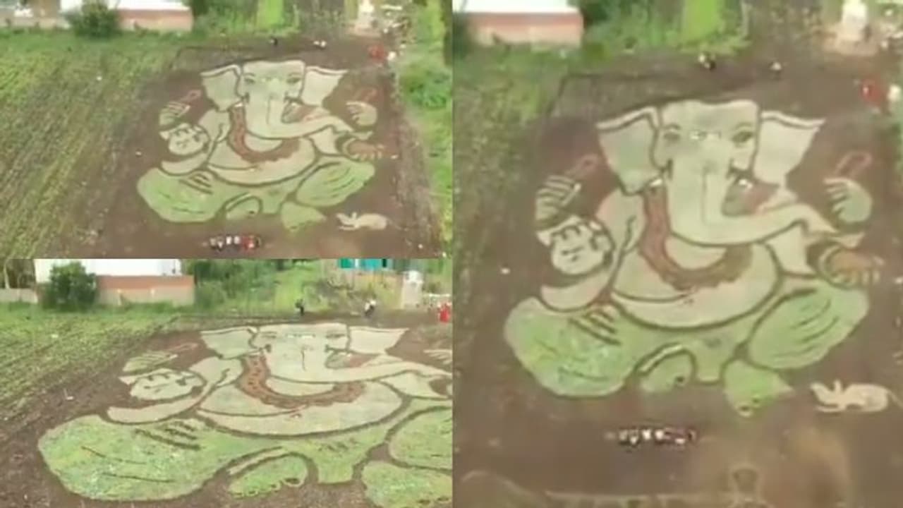 ഒരുമാസത്തെ അധ്വാനം, അരയേക്കര് പാടത്തെ പച്ചപ്പില് ഗണപതിയുടെ കുറ്റൻ ചിത്രം; അതി സുന്ദരമെന്ന് സമൂഹമാധ്യമങ്ങൾ ഒരുമാസത്തെ അധ്വാനം, അരയേക്കര് പാടത്തെ പച്ചപ്പില് ഗണപതിയുടെ കുറ്റൻ ചിത്രം; അതി സുന്ദരമെന്ന് സമൂഹമാധ്യമങ്ങൾ