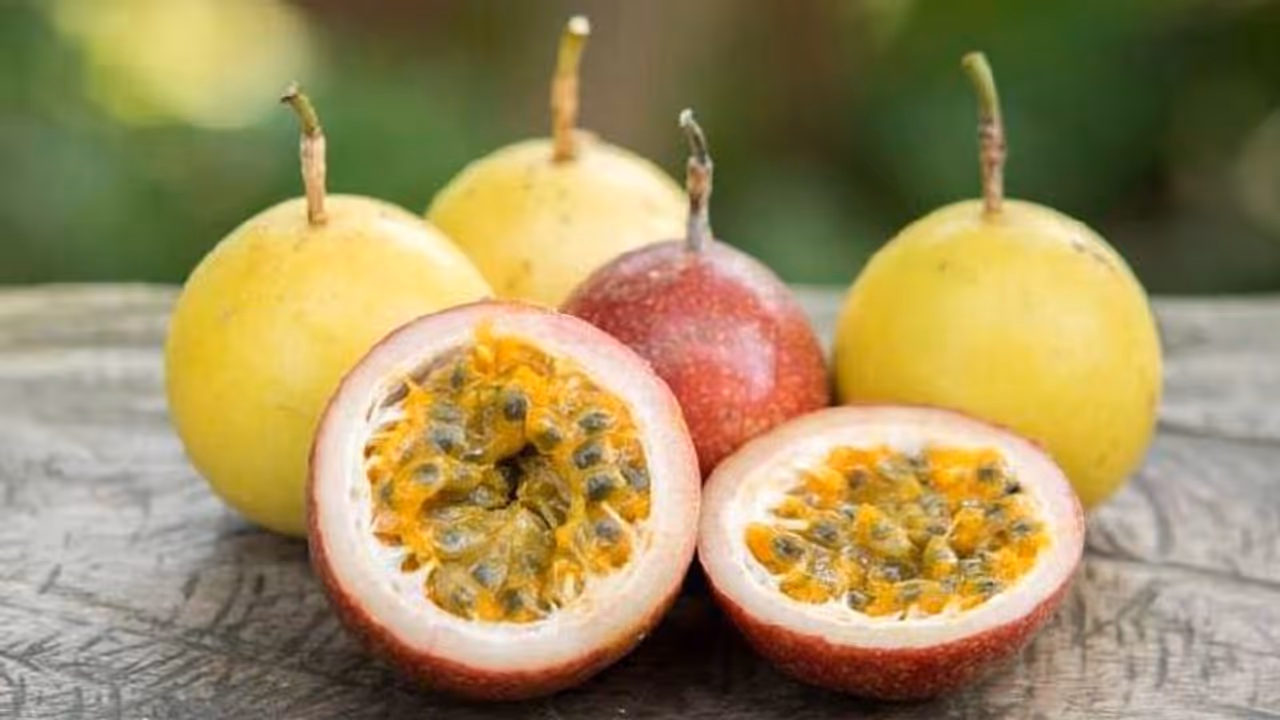 പാഷൻ ഫ്രൂട്ടിന്റെ ഈ ഗുണങ്ങൾ അറിയാതെ പോകരുത് പാഷൻ ഫ്രൂട്ടിന്റെ ഈ ഗുണങ്ങൾ അറിയാതെ പോകരുത്