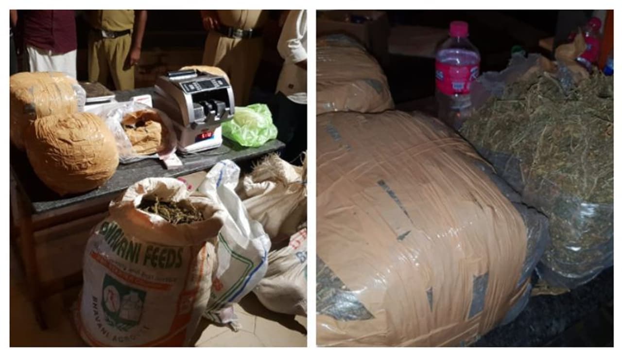 ലക്ഷ്യം ഓണക്കാലം, സവാളയുടെ മറവിൽ ഓണ്ലൈനിൽ കഞ്ചാവ്; രഹസ്യവിവരത്തിൽ എക്സൈസിന്റെ ഓപ്പറേഷനിൽ സംഘം കുടുങ്ങി ലക്ഷ്യം ഓണക്കാലം, സവാളയുടെ മറവിൽ ഓണ്ലൈനിൽ കഞ്ചാവ്; രഹസ്യവിവരത്തിൽ എക്സൈസിന്റെ ഓപ്പറേഷനിൽ സംഘം കുടുങ്ങി