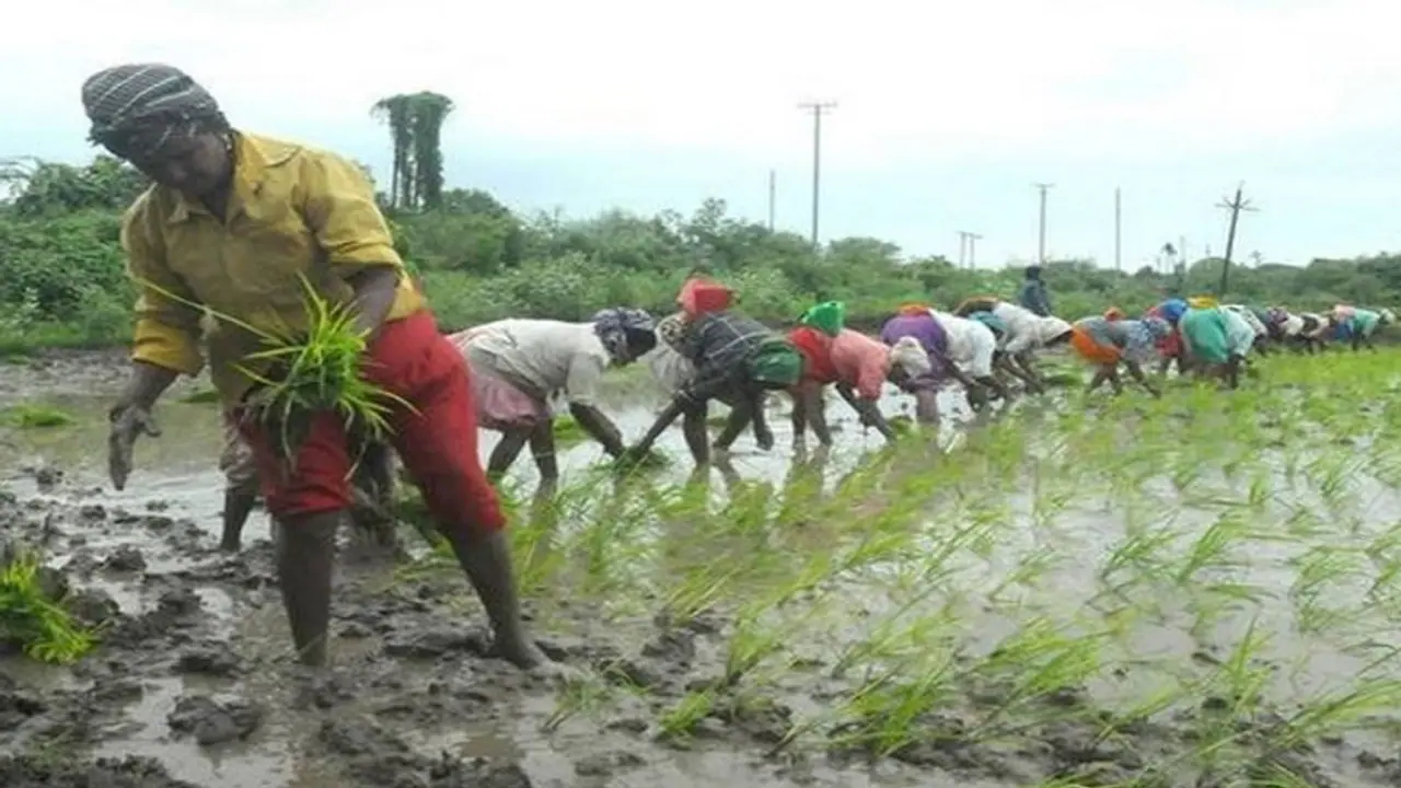 வெங்காயம், உருளைக்கிழங்கு,சமையல் எண்ணெய்க்கு கூட இனி திண்டாட வேண்டியிருக்கும்:வேளாண்துறை சட்டம் குறித்து பகீர் வெங்காயம், உருளைக்கிழங்கு,சமையல் எண்ணெய்க்கு கூட இனி திண்டாட வேண்டியிருக்கும்:வேளாண்துறை சட்டம் குறித்து பகீர்