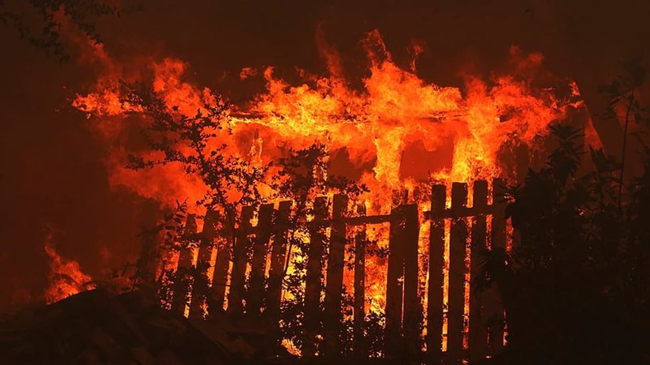 ಚಿತ್ರದುರ್ಗ: ಕಣಿವೆ ಮಾರಮ್ಮ ಗುಡ್ಡಕ್ಕೆ ಬೆಂಕಿ, ಅಪಾರ ಪ್ರಮಾಣದ ಸಸ್ಯ ಸಂಪತ್ತು ನಾಶ