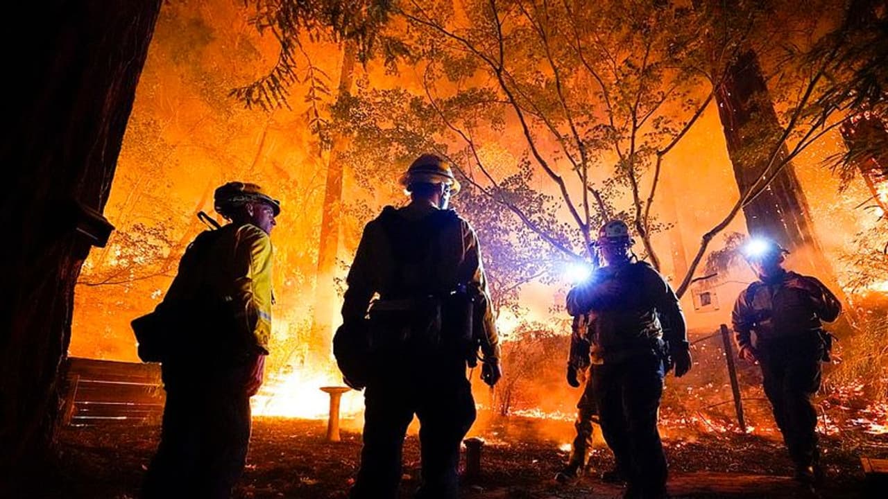 ಬೆಂಗಳೂರು ವಿಶ್ವವಿದ್ಯಾಲಯ ಕಿರು ಅರಣ್ಯದಲ್ಲಿ ಬೆಂಕಿ