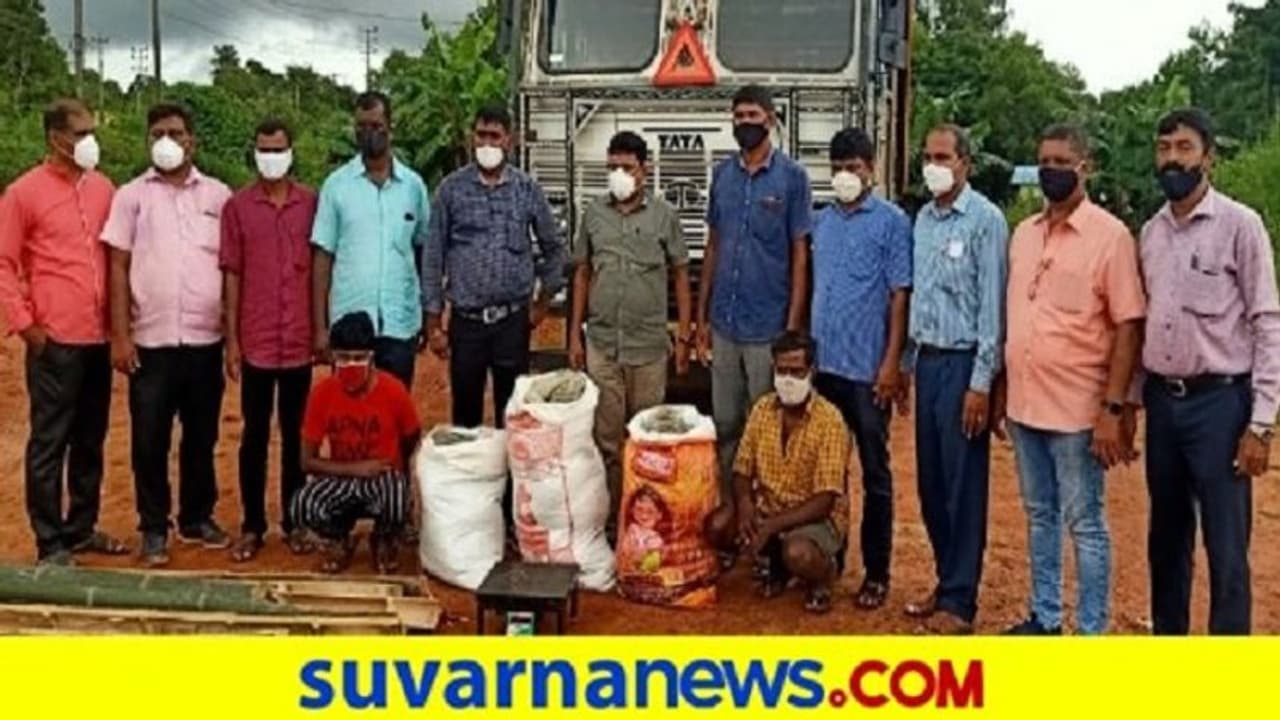 ಉಡುಪಿ; ಲಾರಿಯೊಳಗಿನ ಬಿದಿರಿನ ಒಳಗಿತ್ತು 49 ಕೆಜಿ ಗಾಂಜಾ! ಉಡುಪಿ; ಲಾರಿಯೊಳಗಿನ ಬಿದಿರಿನ ಒಳಗಿತ್ತು 49 ಕೆಜಿ ಗಾಂಜಾ!