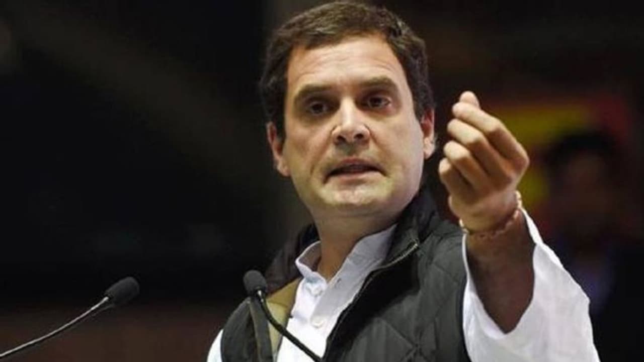 Peeved at Rahul Gandhi questioning loyalty of longstanding Congressmen; senior leaders offer to resign Peeved at Rahul Gandhi questioning loyalty of longstanding Congressmen; senior leaders offer to resign