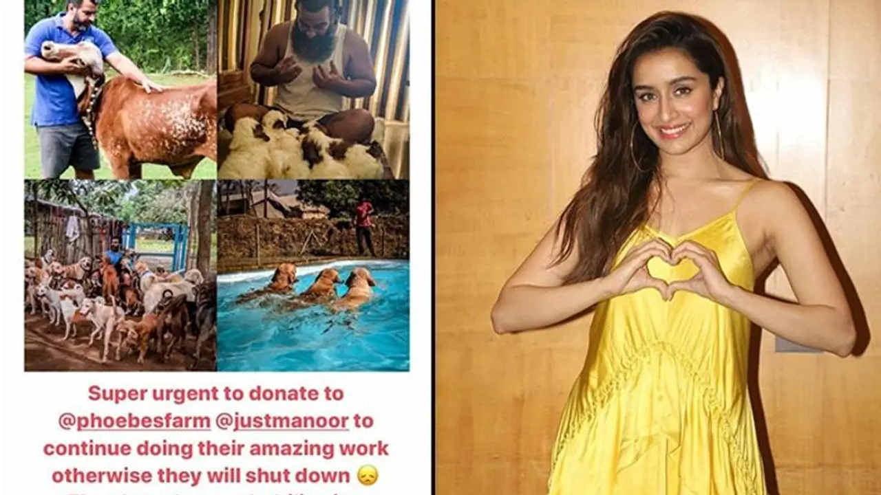 Shraddha Kapoor's latest post can help you be a good samaritan for animals Shraddha Kapoor's latest post can help you be a good samaritan for animals