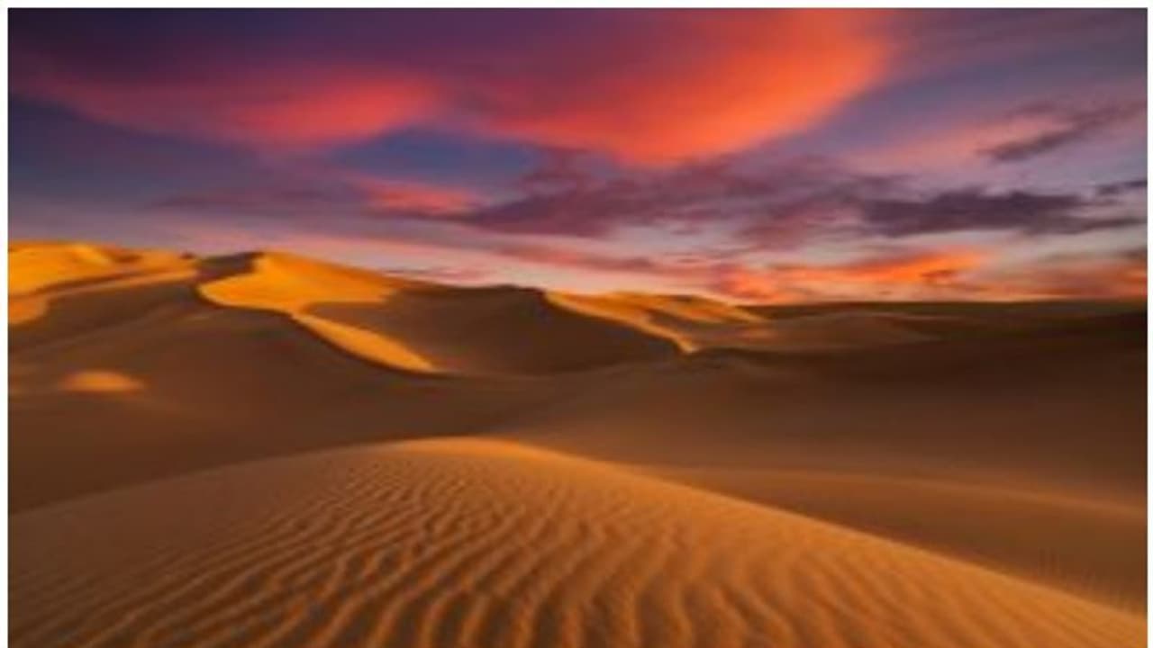 സഹാറ മരുഭൂമി പണ്ട് പച്ചപ്പ് മൂടിയ അവസ്ഥയിലായിരുന്നോ? പിന്നീട് എന്താണ് സംഭവിച്ചത്?