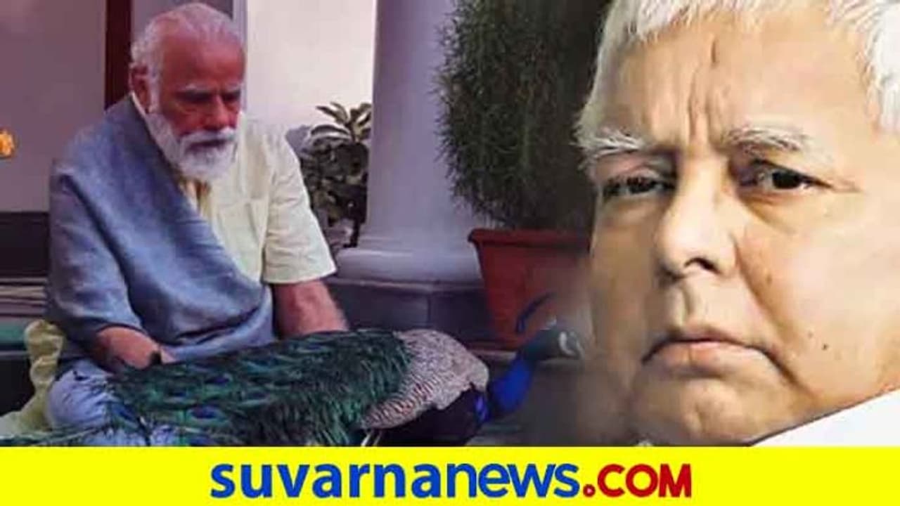 ಕಾಂಟ್ರವರ್ಸಿಗೆ ಕಾರಣವಾದ ನವಿಲು; 'ಅಂದು ಹಾಗೆ, ಇಂದು ಹೀಗೆ' ! ಕಾಂಟ್ರವರ್ಸಿಗೆ ಕಾರಣವಾದ ನವಿಲು; 'ಅಂದು ಹಾಗೆ, ಇಂದು ಹೀಗೆ' !