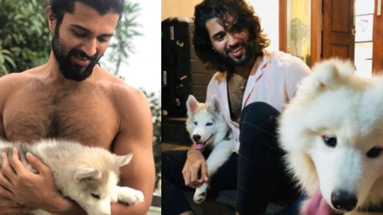 സ്റ്റോം ദേവരകൊണ്ടയും ചെസ്റ്ററും; 'ചില്ലിംഗ്' പടവുമായി വിജയ് ദേവരകൊണ്ട... സ്റ്റോം ദേവരകൊണ്ടയും ചെസ്റ്ററും; 'ചില്ലിംഗ്' പടവുമായി വിജയ് ദേവരകൊണ്ട...