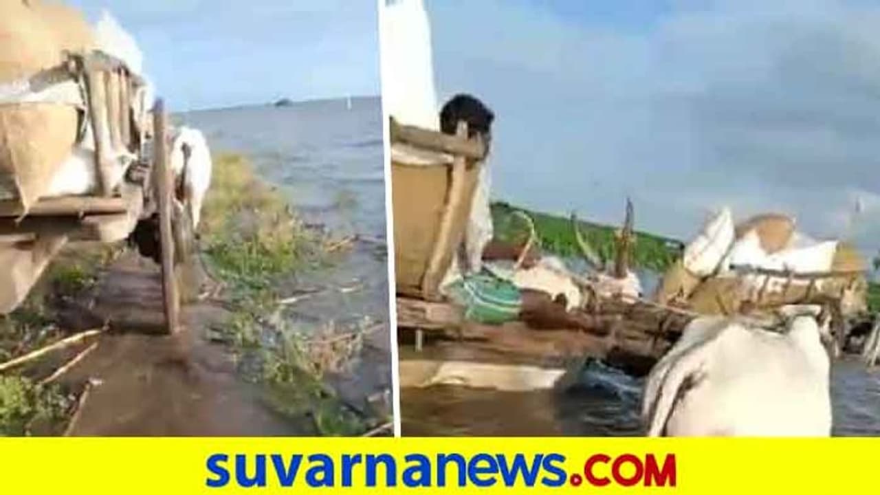 ಕೊಪ್ಪಳ: ಸುಳ್ಳು ಮಾಹಿತಿ ನೀಡಿ ಪೇಚಿಗೆ ಸಿಲುಕಿದ ರೈತ! ಕೊಪ್ಪಳ: ಸುಳ್ಳು ಮಾಹಿತಿ ನೀಡಿ ಪೇಚಿಗೆ ಸಿಲುಕಿದ ರೈತ!