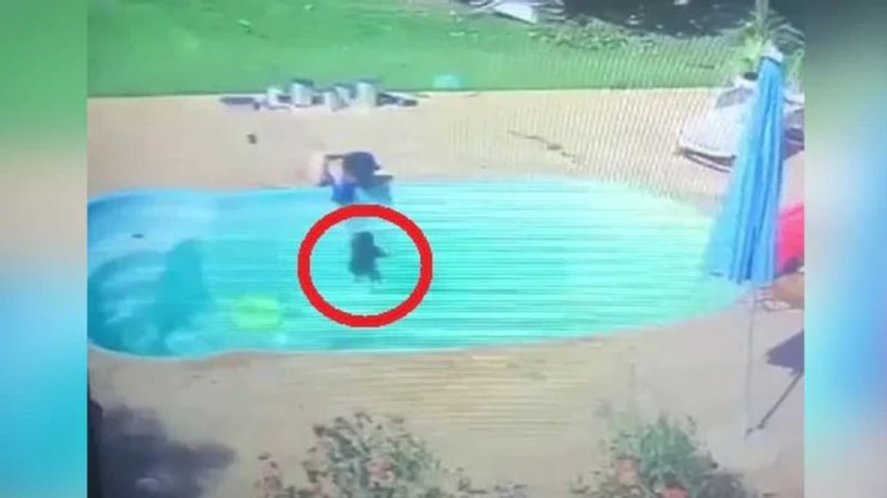 കണ്‍മുന്നില്‍ കൂട്ടുകാരന്‍ മുങ്ങിത്താഴുമ്പോള്‍ മൂന്നുവയസുകാരന്‍ ചെയ്തത്; വീഡിയോ...