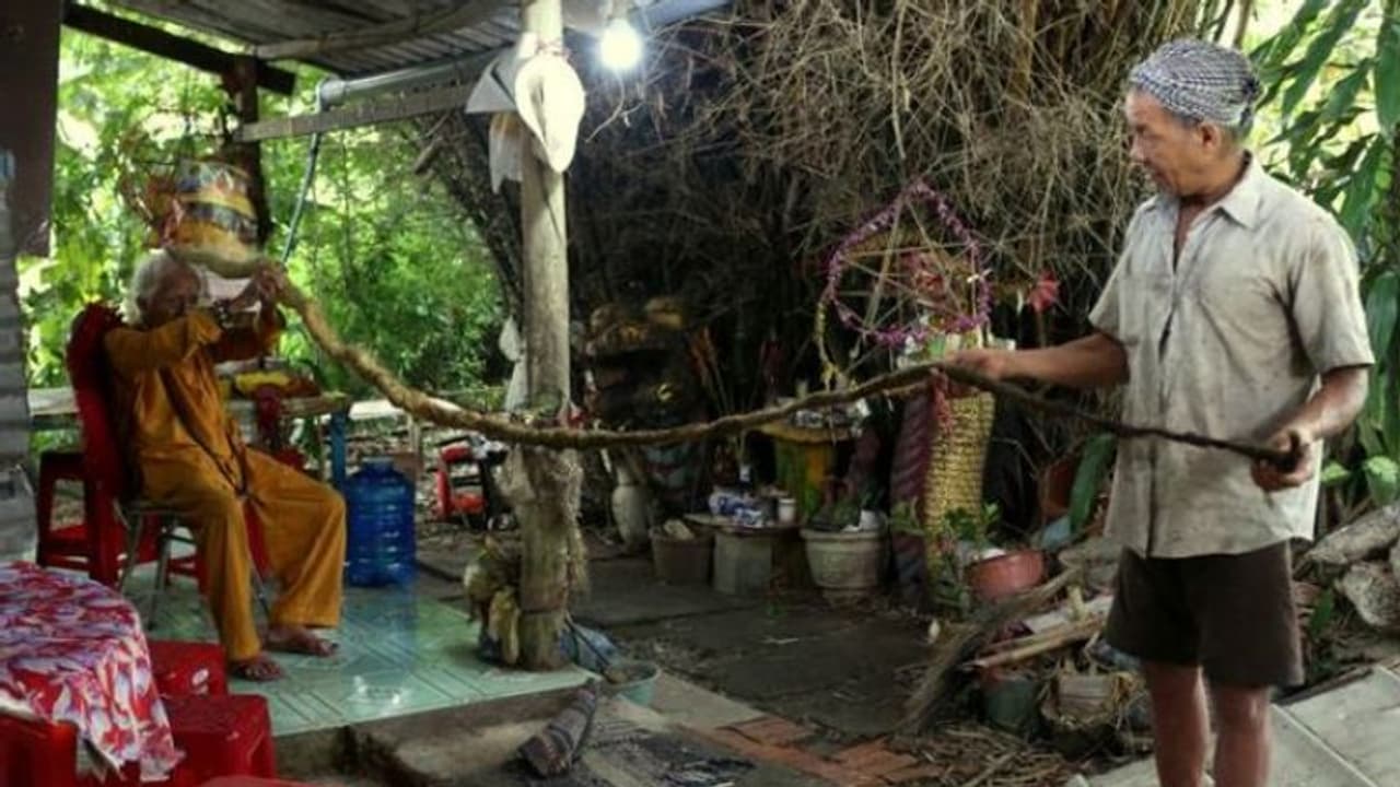 টানা ৮০ বছর চুলে কাঁচি চিরুনী পড়েনি, সোশ্যাল মিডিয়ায় ভাইরাল ৯২ বছরের বৃদ্ধ টানা ৮০ বছর চুলে কাঁচি চিরুনী পড়েনি, সোশ্যাল মিডিয়ায় ভাইরাল ৯২ বছরের বৃদ্ধ