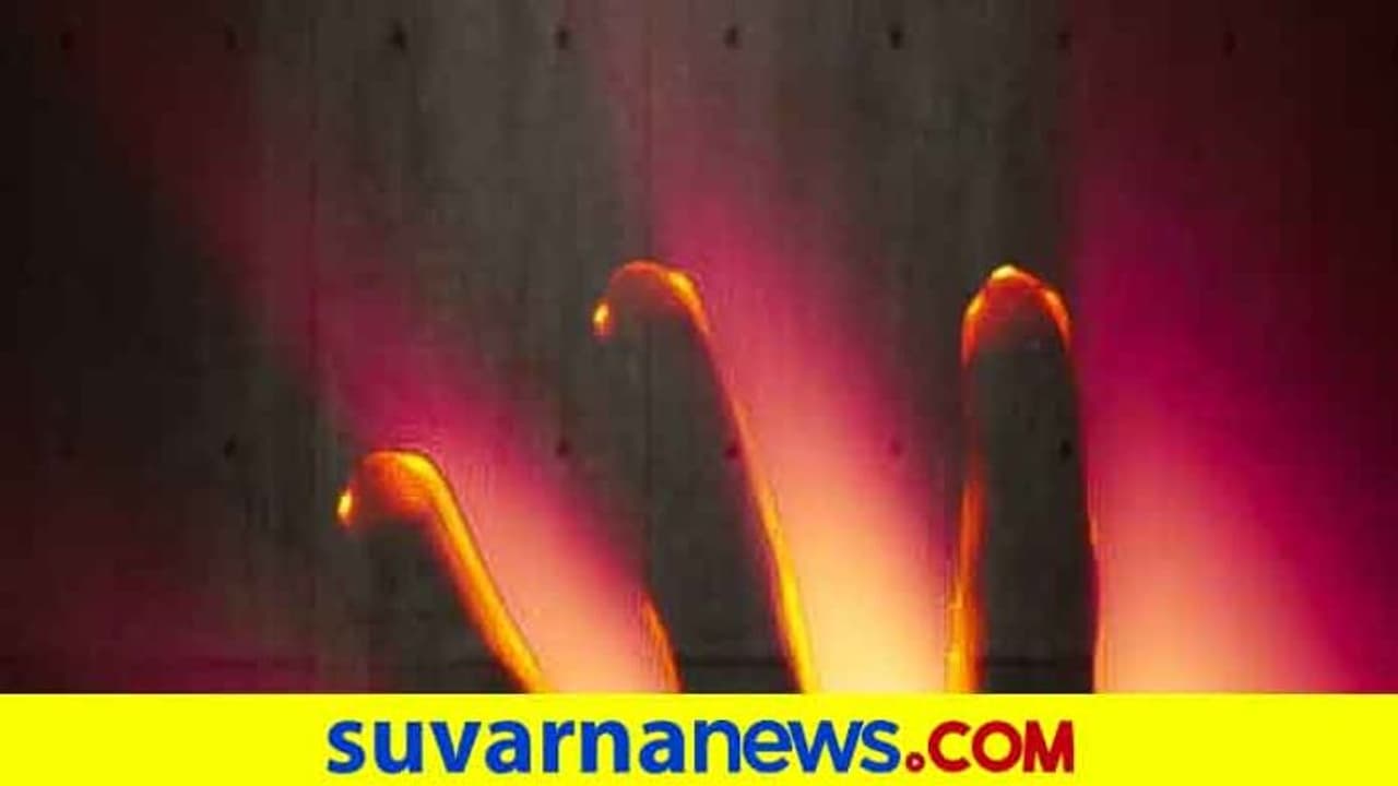 ಹಾಸನದಲ್ಲೊಬ್ಬ ಕ್ರೂರ ಶವಸಂಭೋಗಿ! ಈ ಸೈಕೋ ಎಂಥವನು?