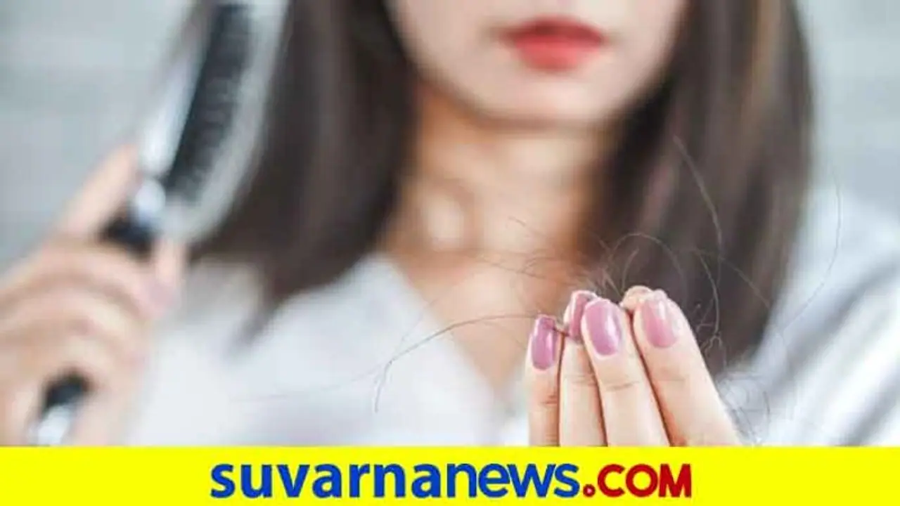 Hair Fall Remedies: ಕೂದಲು ಉದುರುವಿಕೆಗೆ ಇಲ್ಲಿದೆ ಪರಿಹಾರ Hair Fall Remedies: ಕೂದಲು ಉದುರುವಿಕೆಗೆ ಇಲ್ಲಿದೆ ಪರಿಹಾರ