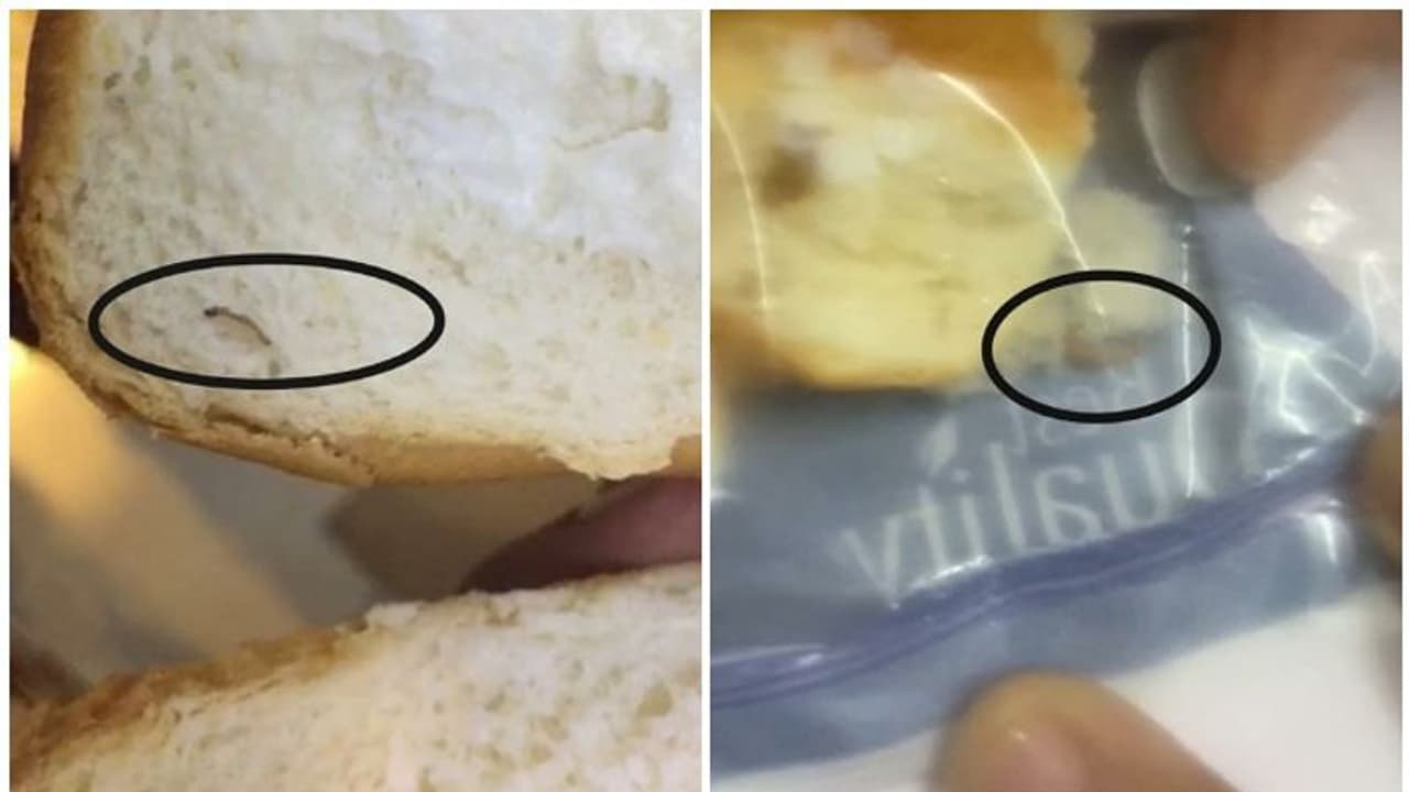 സ്വീറ്റ് ബണ്ണിൽ പുഴു; ബേക്കറിയുടെ ലൈസൻസ് സസ്പെൻഡ് ചെയ്ത് ഭക്ഷ്യസുരക്ഷാവകുപ്പ് സ്വീറ്റ് ബണ്ണിൽ പുഴു; ബേക്കറിയുടെ ലൈസൻസ് സസ്പെൻഡ് ചെയ്ത് ഭക്ഷ്യസുരക്ഷാവകുപ്പ്