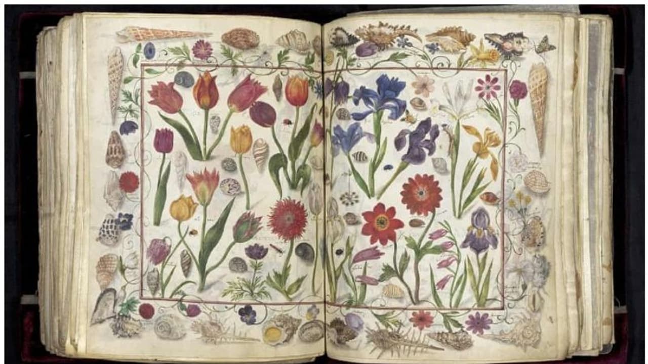 400 വര്ഷം പഴക്കമുള്ള ഈ പുസ്തകം ലൈബ്രറി വാങ്ങിയത് 24 കോടിയിലധികം രൂപ നല്കി, കാരണം ഇതാണ്... 400 വര്ഷം പഴക്കമുള്ള ഈ പുസ്തകം ലൈബ്രറി വാങ്ങിയത് 24 കോടിയിലധികം രൂപ നല്കി, കാരണം ഇതാണ്...