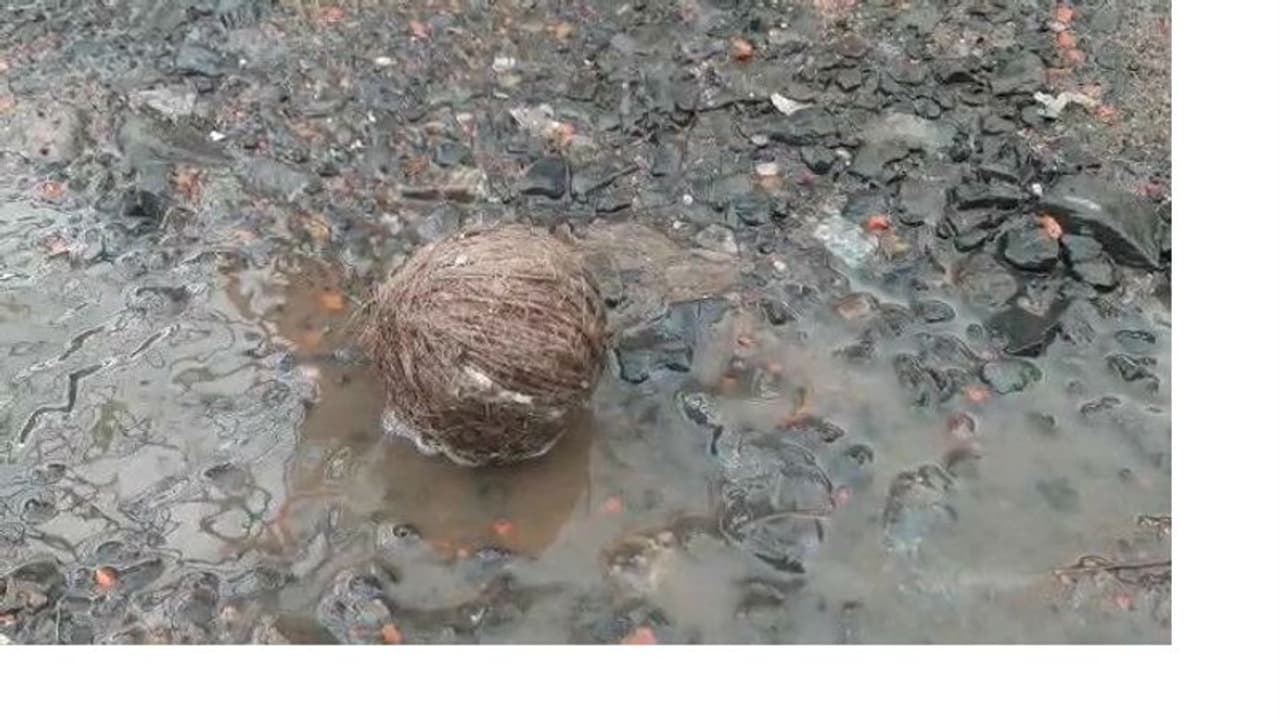 যত্রতত্র পড়ে রয়েছে তাজাবোমা, হাওড়ায় জমি দখল ঘিরে বোমাবাজি দুষ্কৃতীদের যত্রতত্র পড়ে রয়েছে তাজাবোমা, হাওড়ায় জমি দখল ঘিরে বোমাবাজি দুষ্কৃতীদের