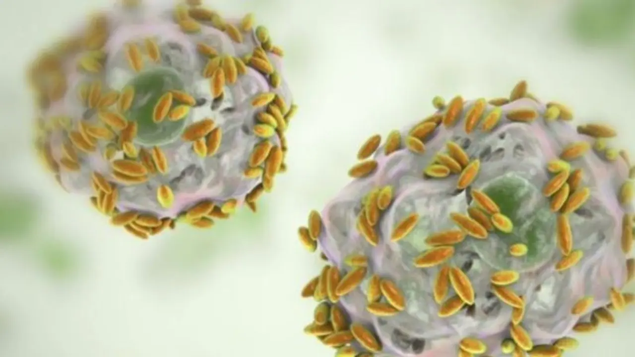 'ഓറല് സെക്സ്' ചിലരില് ആരോഗ്യപ്രശ്നങ്ങള് ഉണ്ടാക്കുമെന്ന് പഠനം... 'ഓറല് സെക്സ്' ചിലരില് ആരോഗ്യപ്രശ്നങ്ങള് ഉണ്ടാക്കുമെന്ന് പഠനം...