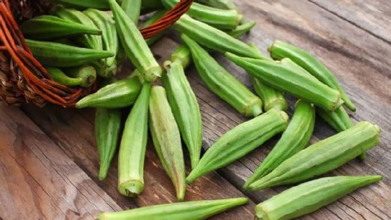 Diabetes: நீரழிவு நோயாளிகளுக்கு வரப்பிரசாதமாகும் வெண்டைக்காய்..! தினமும் இப்படி சாப்பிட்டால் போதும்..? Diabetes: நீரழிவு நோயாளிகளுக்கு வரப்பிரசாதமாகும் வெண்டைக்காய்..! தினமும் இப்படி சாப்பிட்டால் போதும்..?