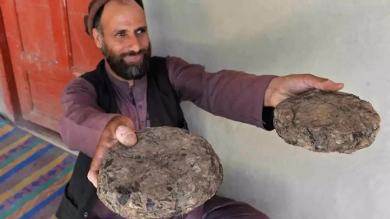 കൊവിഡും യുദ്ധവും തകര്ത്തു, ജീവിക്കാന് കറുപ്പ് കൃഷിചെയ്ത് അഫ്ഗാനിലെ ജനങ്ങള് കൊവിഡും യുദ്ധവും തകര്ത്തു, ജീവിക്കാന് കറുപ്പ് കൃഷിചെയ്ത് അഫ്ഗാനിലെ ജനങ്ങള്