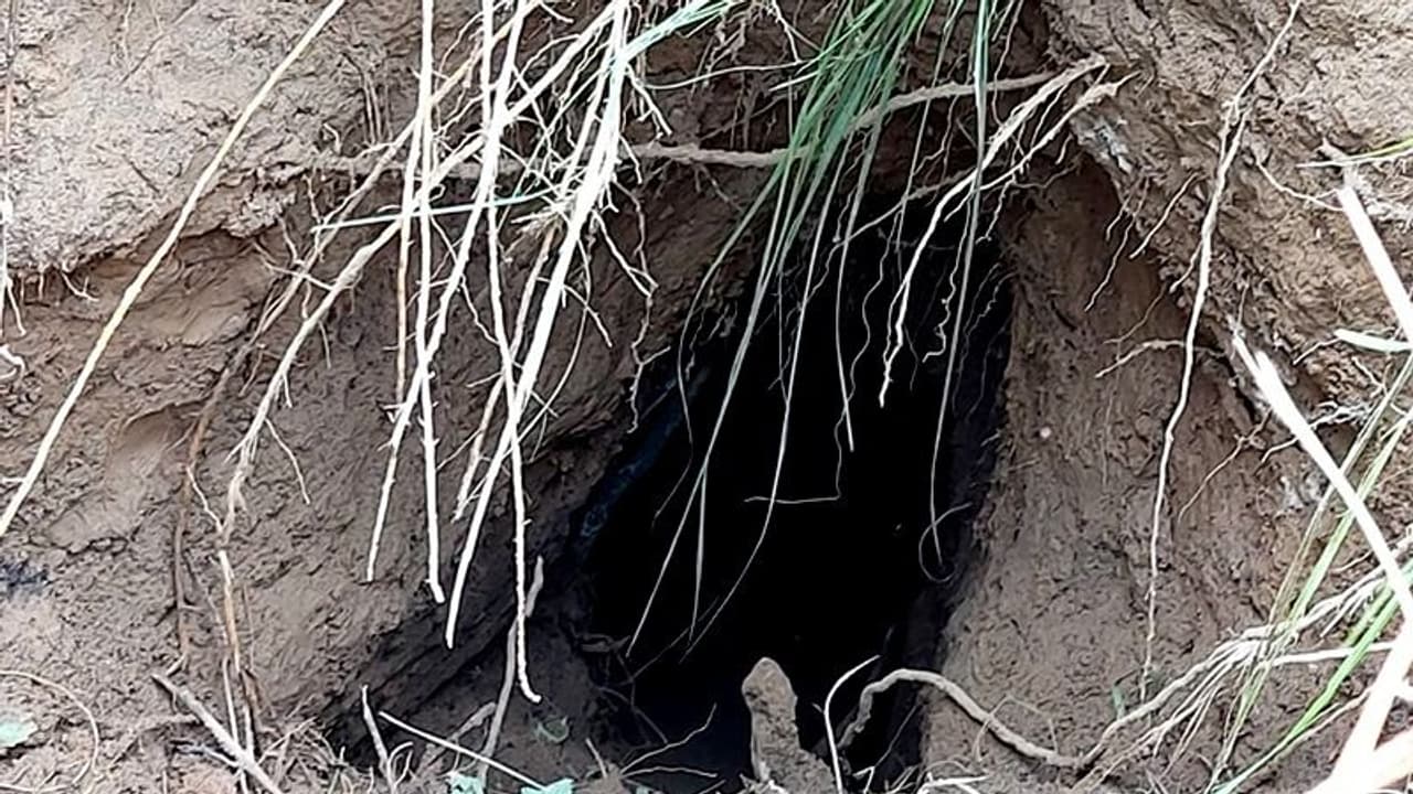 পাক সীমান্ত লাগোয়া জম্মুর সাম্বাতে গোপন সুড়ঙ্গের খোঁজ, মিলল করাচি লেখা বস্তাও পাক সীমান্ত লাগোয়া জম্মুর সাম্বাতে গোপন সুড়ঙ্গের খোঁজ, মিলল করাচি লেখা বস্তাও