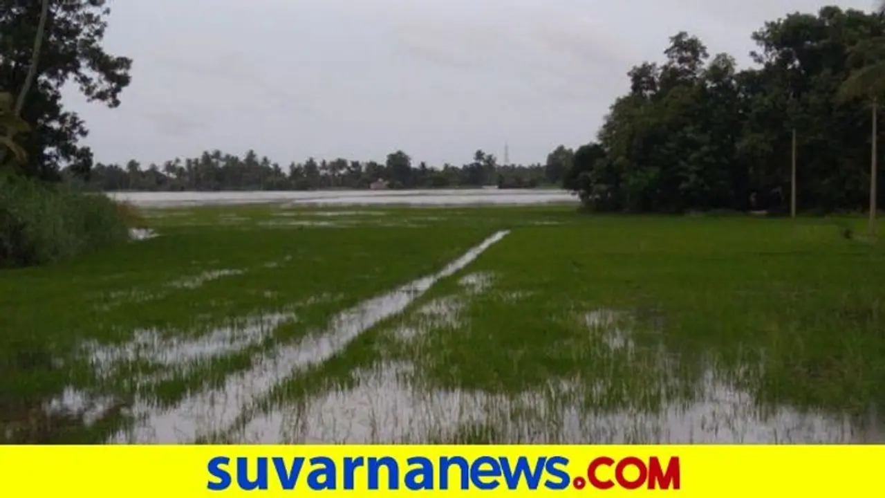 ಚಿಕ್ಕಬಳ್ಳಾಪುರ : ಜಿಲ್ಲೆಯಲ್ಲಿ 897.40 ಎಕರೆ ಅರಣ್ಯ ಒತ್ತುವರಿ