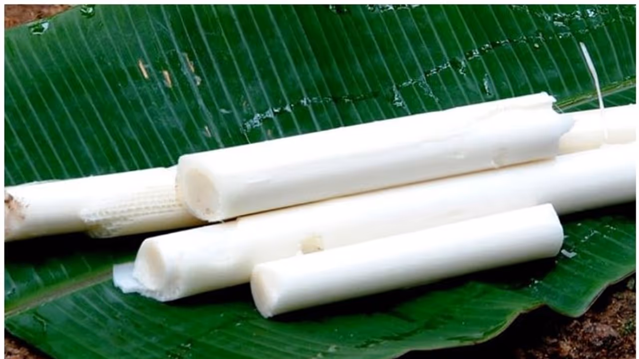 വാഴപ്പിണ്ടിയുടെ അതിശയിപ്പിക്കുന്ന നാല് ആരോഗ്യ ഗുണങ്ങൾ വാഴപ്പിണ്ടിയുടെ അതിശയിപ്പിക്കുന്ന നാല് ആരോഗ്യ ഗുണങ്ങൾ